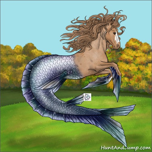 Horse Color:Chestnut Appaloosa 