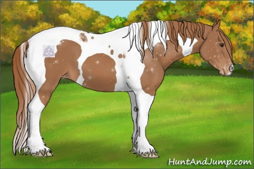 Horse Color:Chestnut Tobiano Blanket 