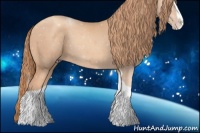 Horse Color:Gold Champagne Splash Tobiano