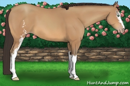 Horse Color:White Spotted Amber Champagne 