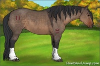 Horse Color:Brown Dun Tobiano 