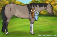 Horse Color:Brown Dun Tobiano