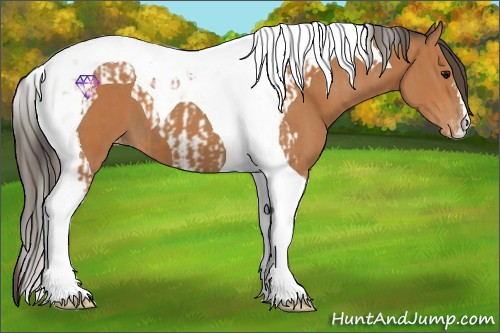 Horse Color:Bay Tobiano Varnish and Bay Tobiano Varnish