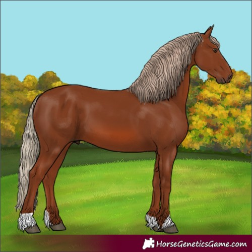 Horse Color:Chestnut 