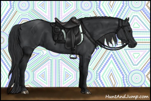 Horse Color:Black 