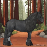 Horse Color:Black Varnish Rabicano 