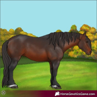 Horse Color:Brown 