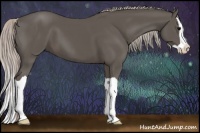 Horse Color:Silver Black Splash