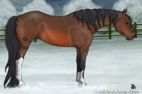 Horse Color:Brown 