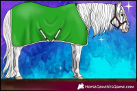 Horse Color:Silver Bay Appaloosa 