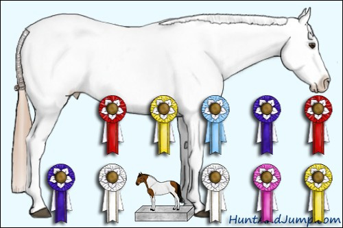 Horse Color:Chestnut Tobiano Appaloosa 