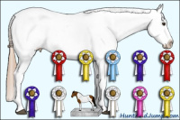 Horse Color:Chestnut Tobiano Appaloosa 