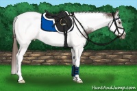 Horse Color:Liver Chestnut Splash Tobiano Frame Rabicano 