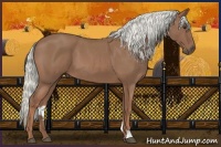 Horse Color:Red Roan Mushroom 