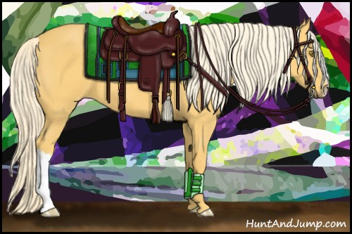 Horse Color:Palomino