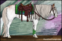 Horse Color:White Spotted Silver Bay Varnish 