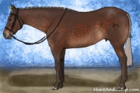 Horse Color:Silver Brown 