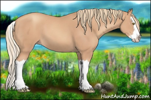 Horse Color:Gold Champagne Splash 