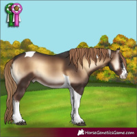 Horse Color:White Spotted Liver Red Onyx Tobiano 
