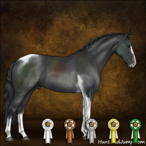 Horse Color:Black Sabino Tobiano 