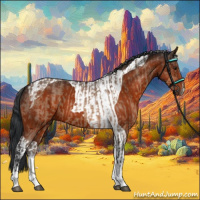 Horse Color:Brown Dun Tobiano  and Brown Tobiano 