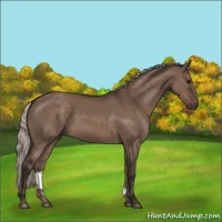 Horse Color:Silver Brown Dun