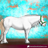 Horse Color:White Spotted Chestnut Varnish 