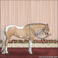 Horse Color:Silver Blue Roan Pearl Tobiano Frame 