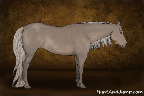 Horse Color:Silver Grullo Sabino 