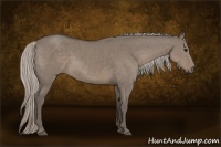 Horse Color:Silver Grullo Sabino 