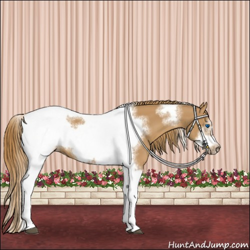Horse Color:Chestnut Tobiano Frame 