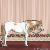 Horse Color:Chestnut Tobiano Frame 