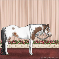 Horse Color:Bay Tobiano Frame 