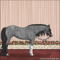 Horse Color:Blue Roan Tobiano Frame 