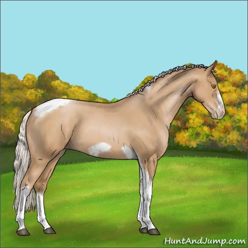 Horse Color:Silver Blue Roan Pearl Tobiano Frame