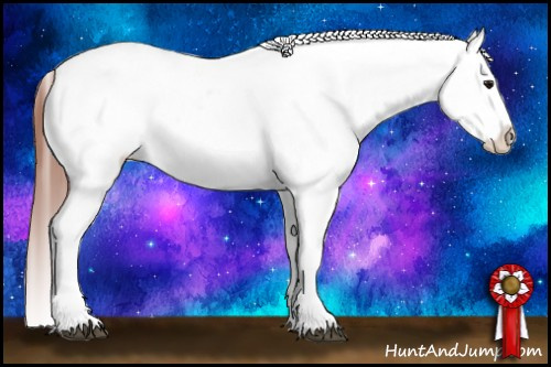 Horse Color:Bay Dun Varnish 