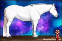 Horse Color:Bay Dun Varnish
