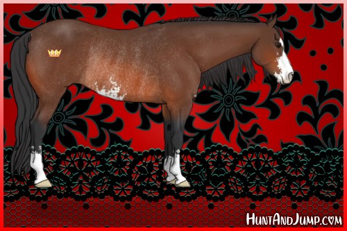 Horse Color:Brown Sabino Rabicano