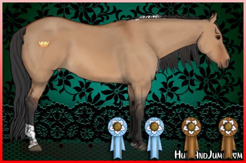 Horse Color:Bay Dun Tobiano 