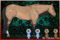 Horse Color:Bay Dun Tobiano 