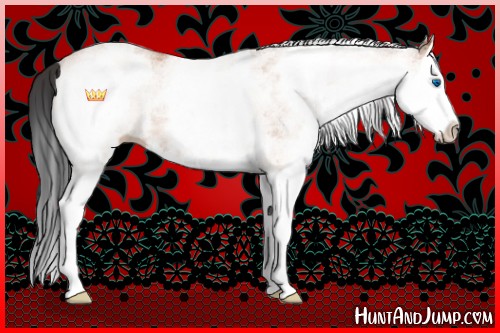 Horse Color:White Spotted Bay Splash 