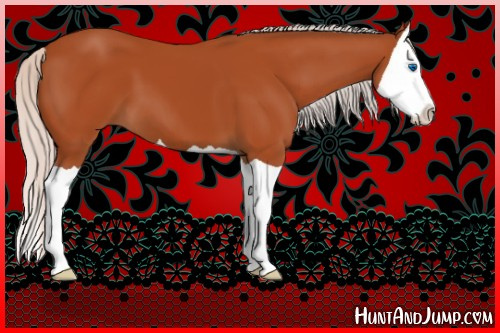 Horse Color:Silver Bay Splash 