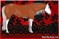 Horse Color:Silver Bay Splash 