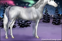 Horse Color:Platinum White Spotted Silver Buckskin Pearl 