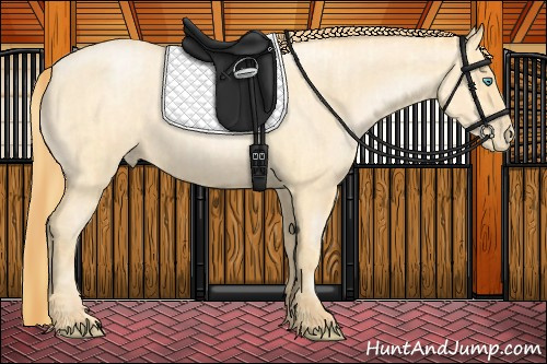 Horse Color:Buckskin Roan Pearl  and Buckskin Roan Pearl 