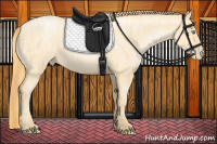 Horse Color:Buckskin Roan Pearl and Buckskin Roan Pearl