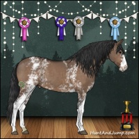 Horse Color:White Spotted Bay Dun