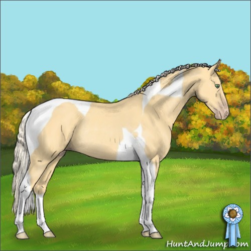 Horse Color:Gold Cream Champagne Tobiano Rabicano 