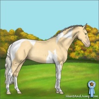 Horse Color:Gold Cream Champagne Tobiano Rabicano