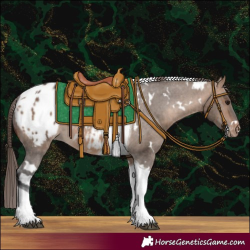 Horse Color:White Spotted Brown Dun Tobiano Varnish 